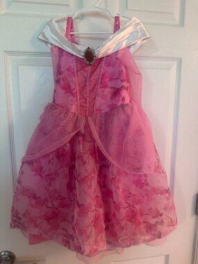 Disney Princess Aurora/Sleeping Beauty Costume